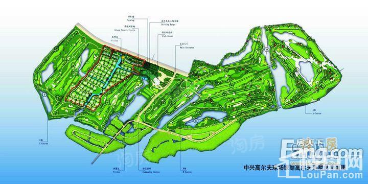 银丽高尔夫公寓效果图