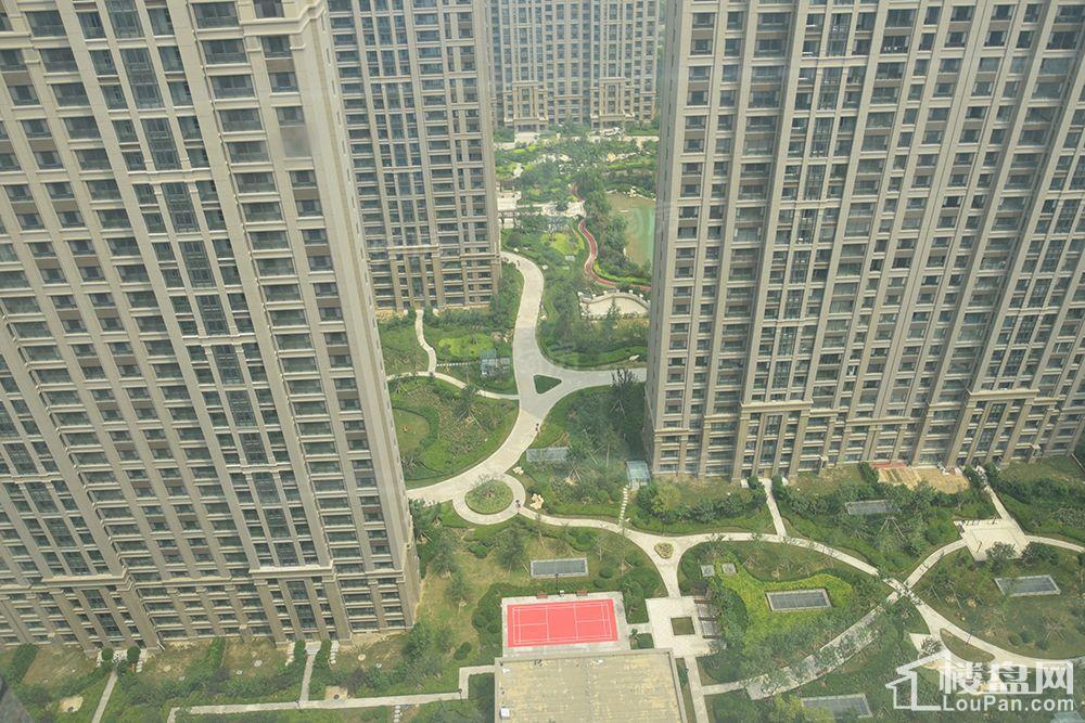 龙泰国际实景图
