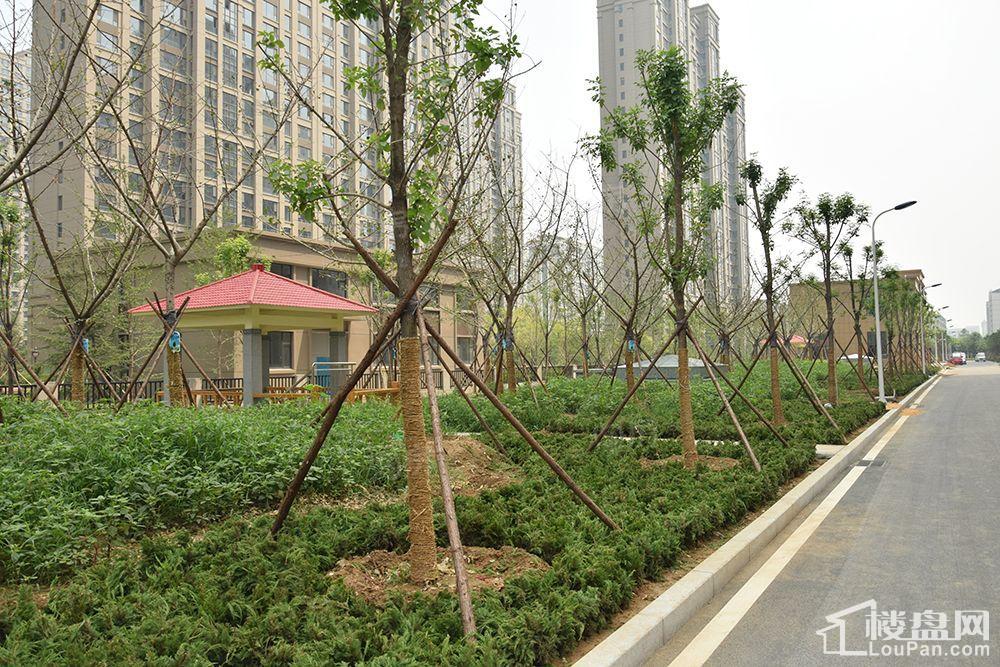 龙泰国际实景图