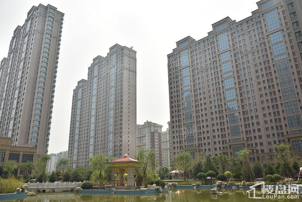 龙泰国际实景图