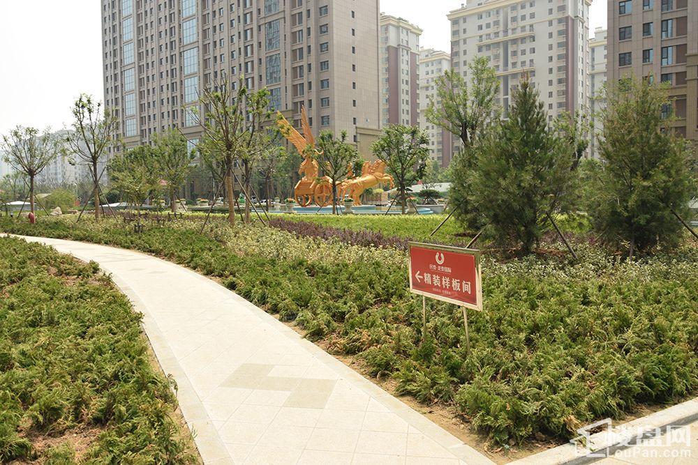 龙泰国际实景图