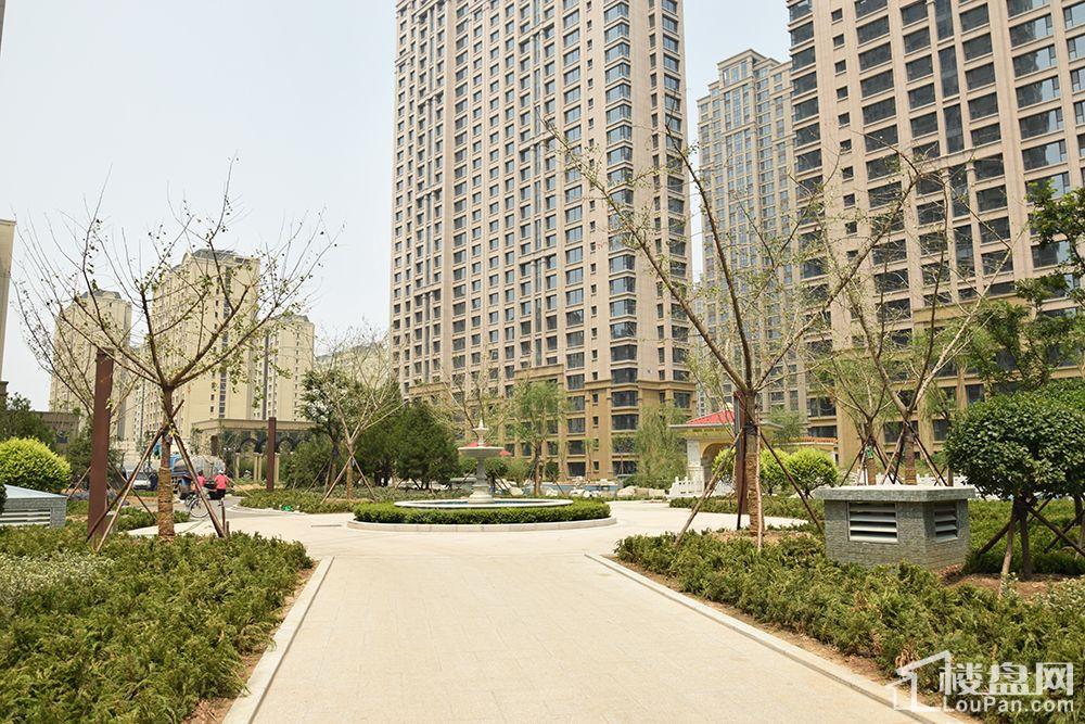 龙泰国际实景图