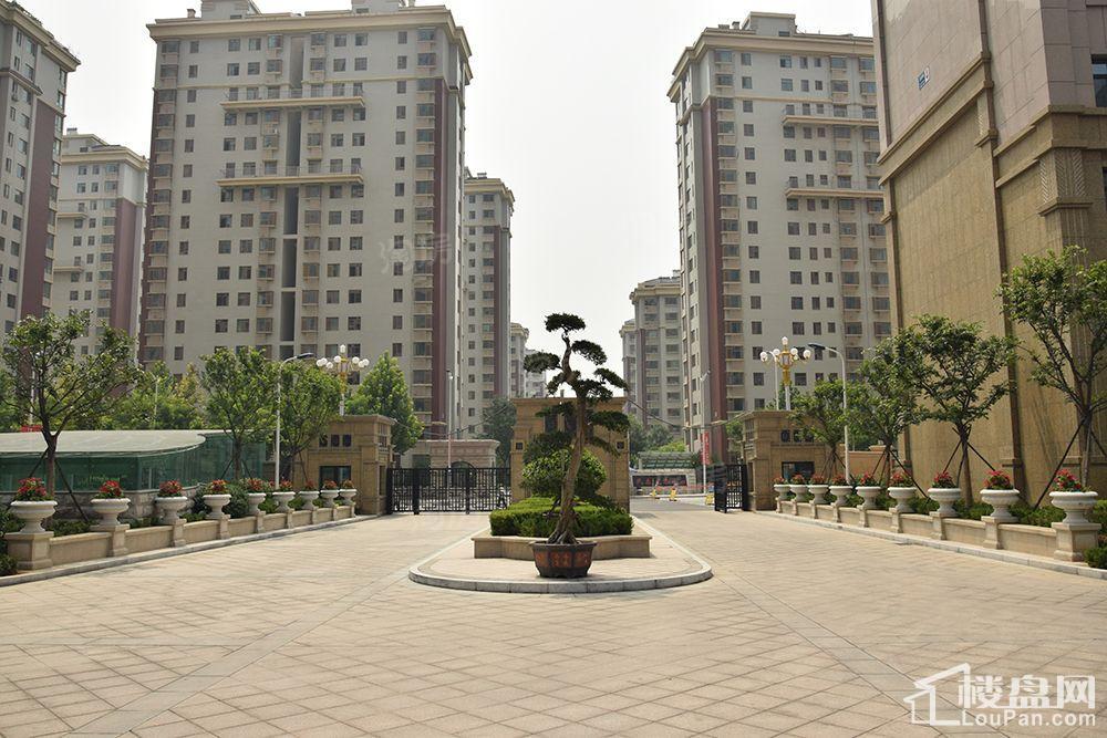 龙泰国际实景图