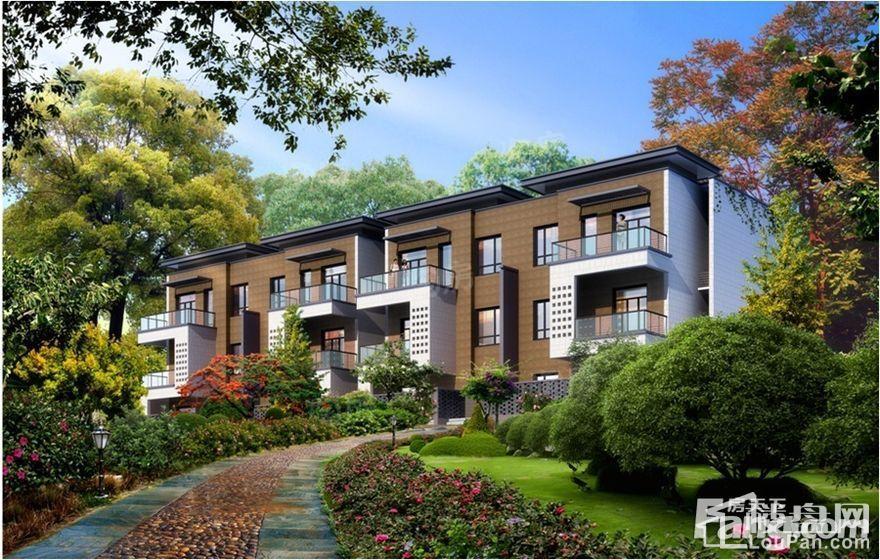 中新领袖天地效果图