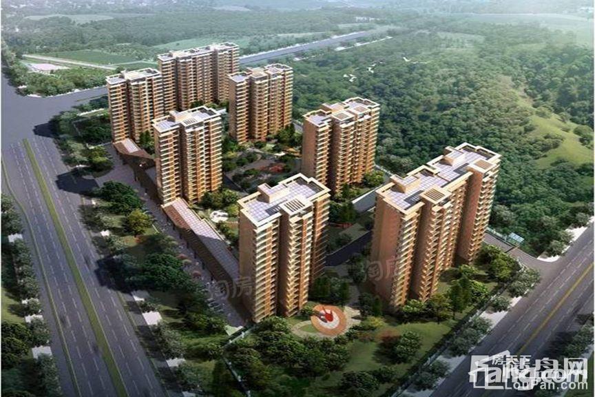 中新翡翠效果图