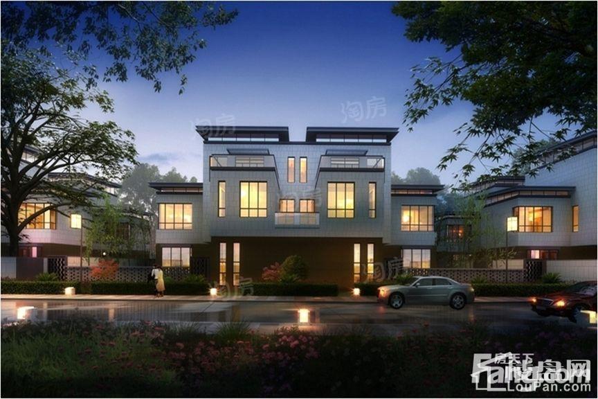 中新领袖经典效果图