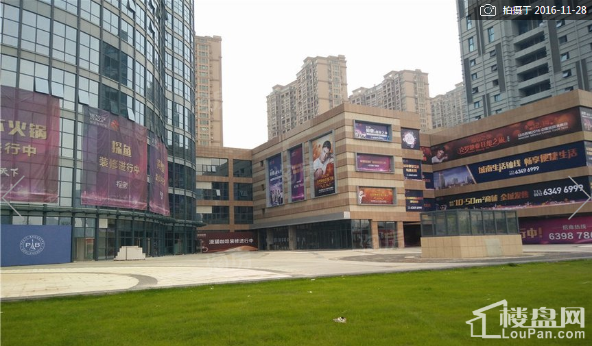 实景图