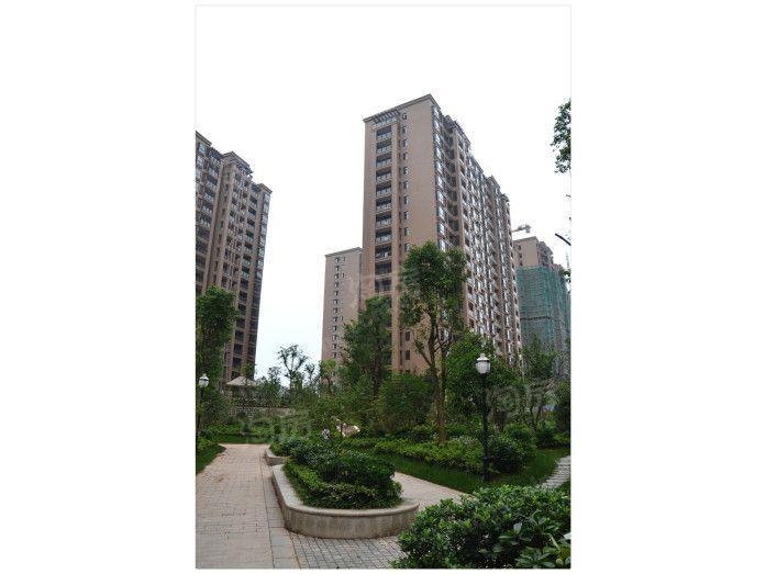 佳源·城市花园实景图