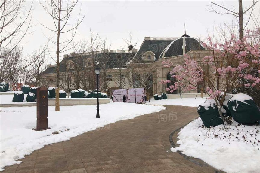 阳光城·翡丽湾实景图