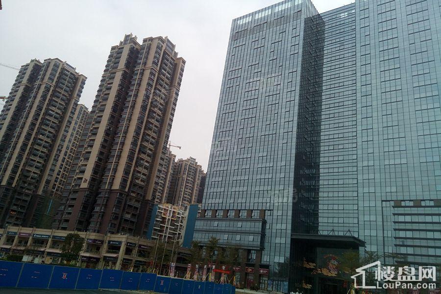 荣和千千树实景图