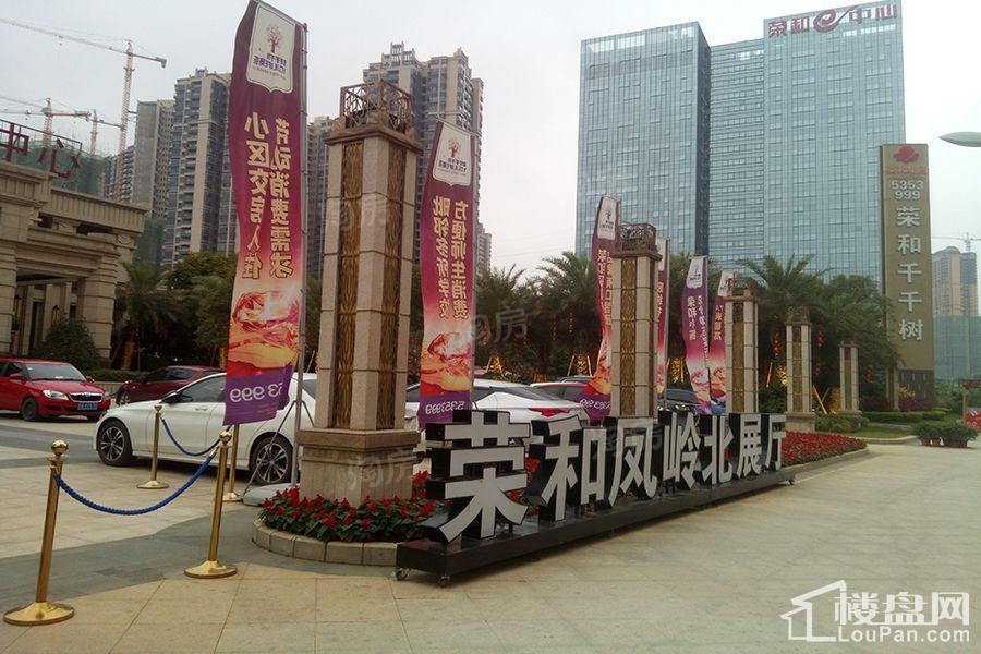 荣和千千树实景图