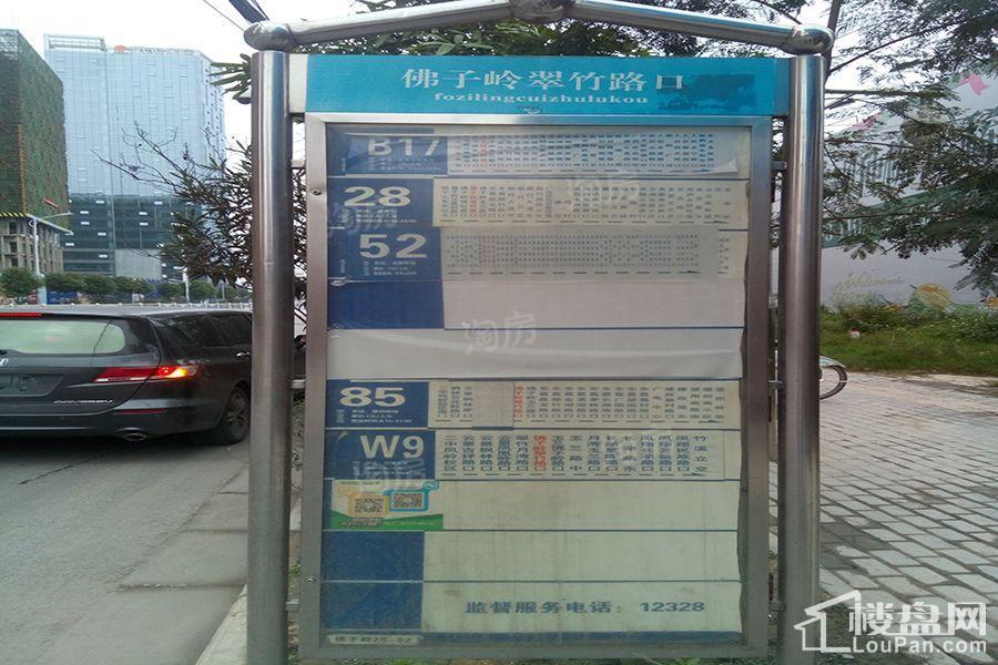 荣和千千树实景图