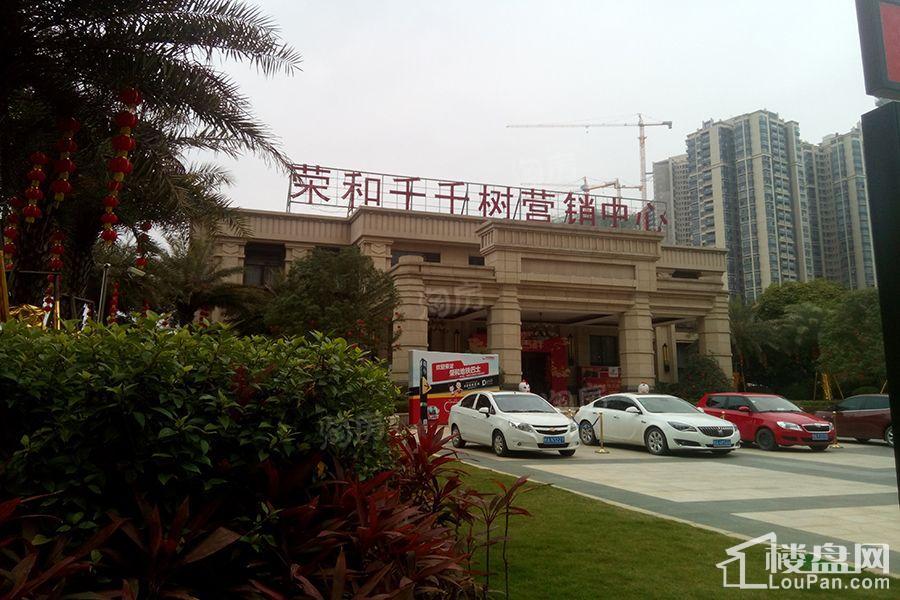 荣和千千树实景图