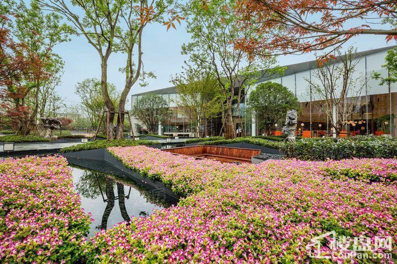 仁恒公园世纪实景图