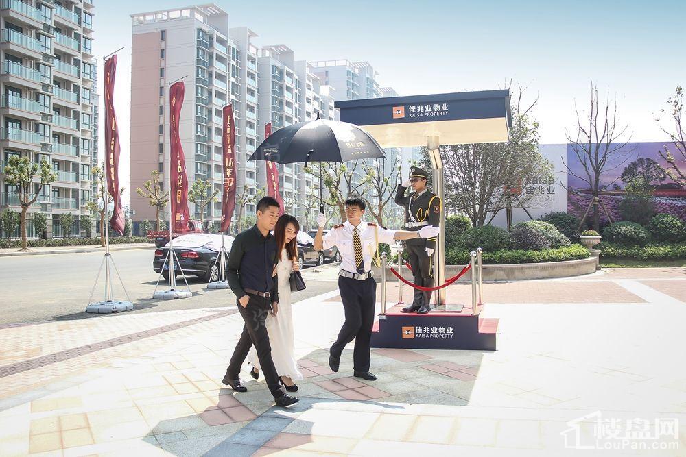 佳兆业君汇上品实景图