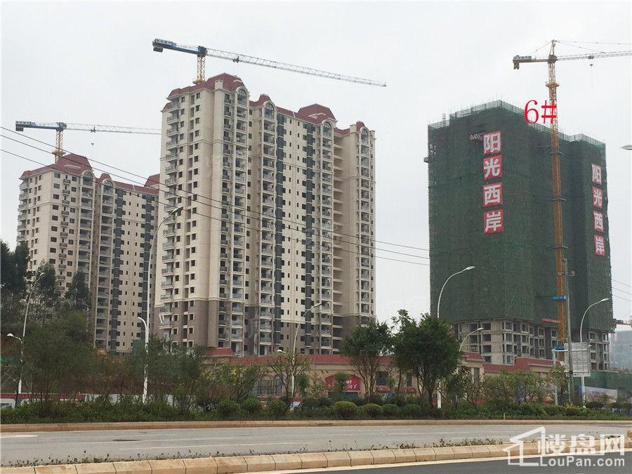 阳光西岸实景图