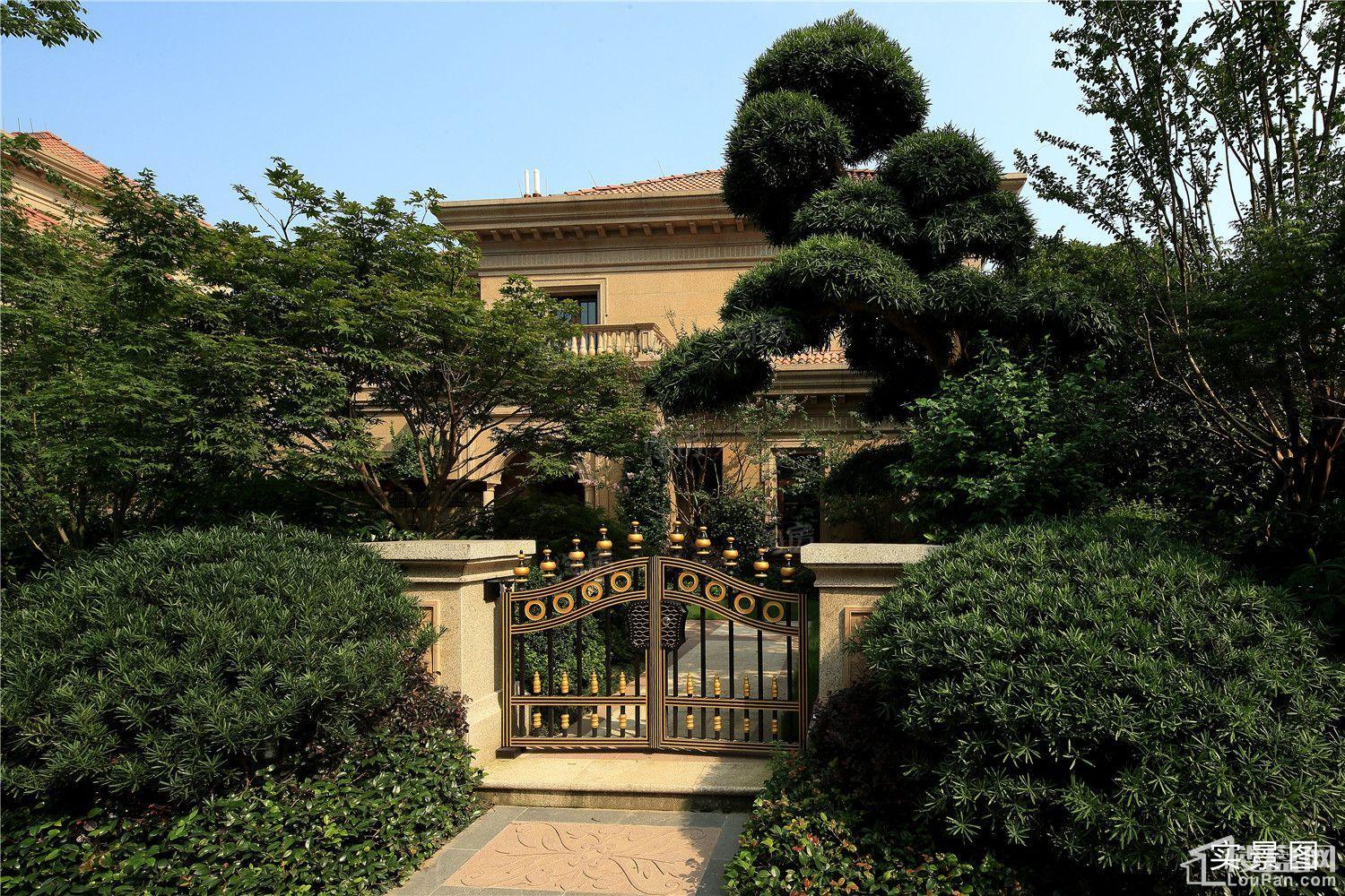蓝湾上林院实景图