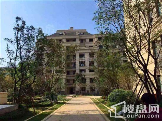 华润中央公园实景图