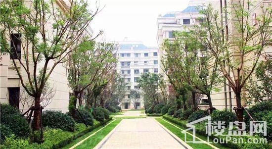 华润中央公园实景图