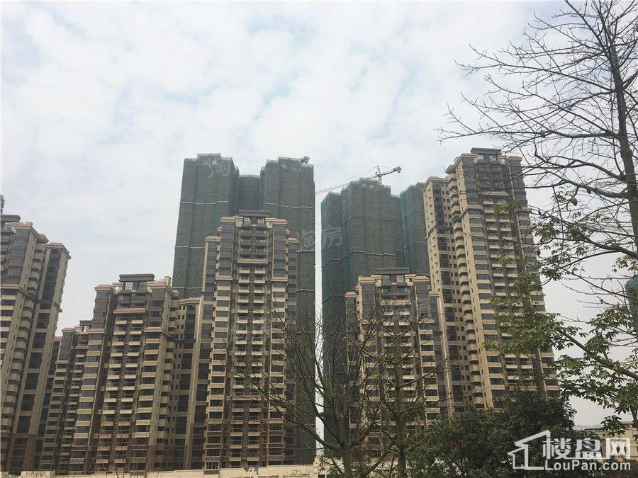 荣和悦澜山实景图