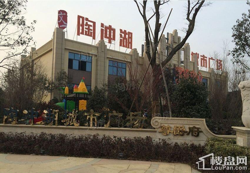 陶冲湖别院实景图