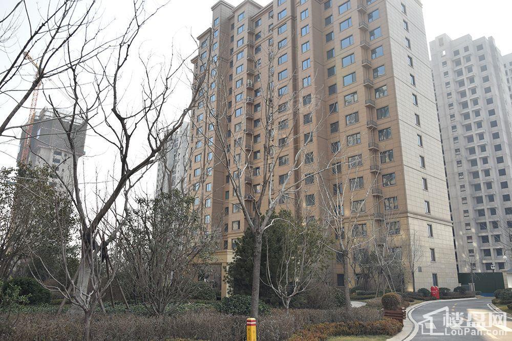 天悦实景图