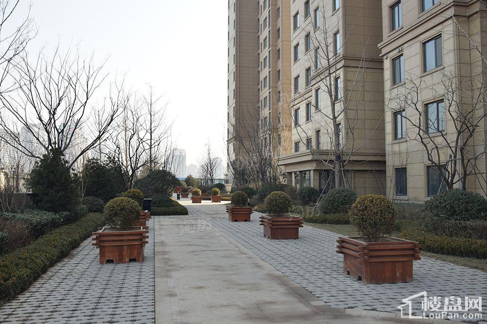 天悦实景图