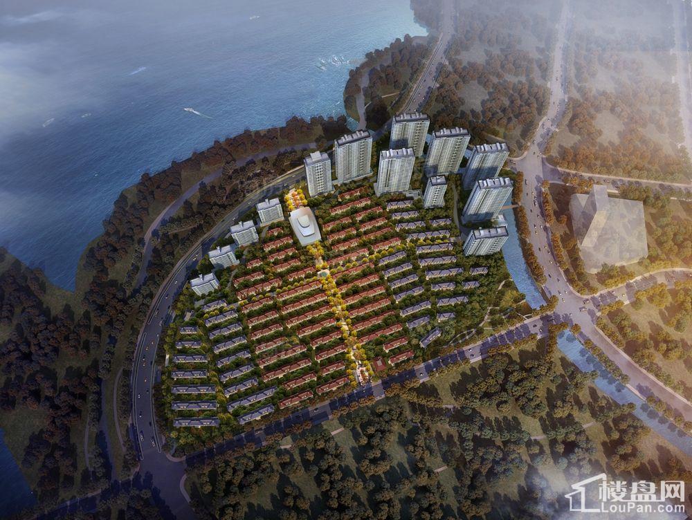 铂悦犀湖效果图