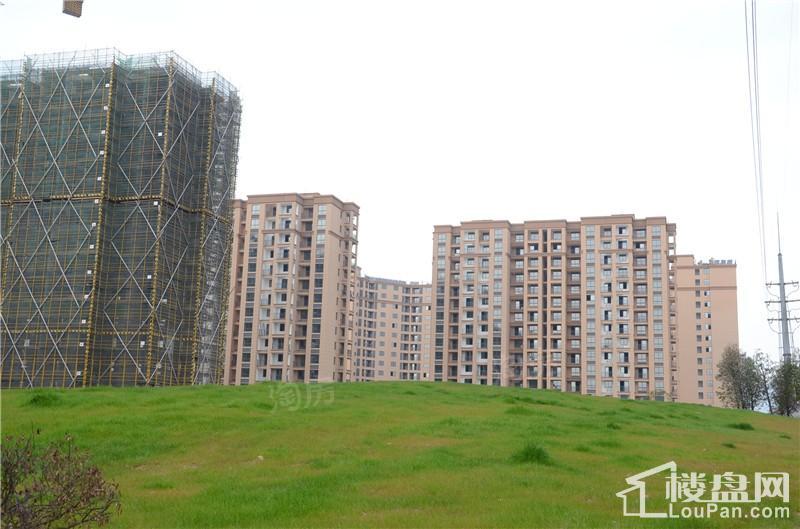 胜城东塘湖畔实景图