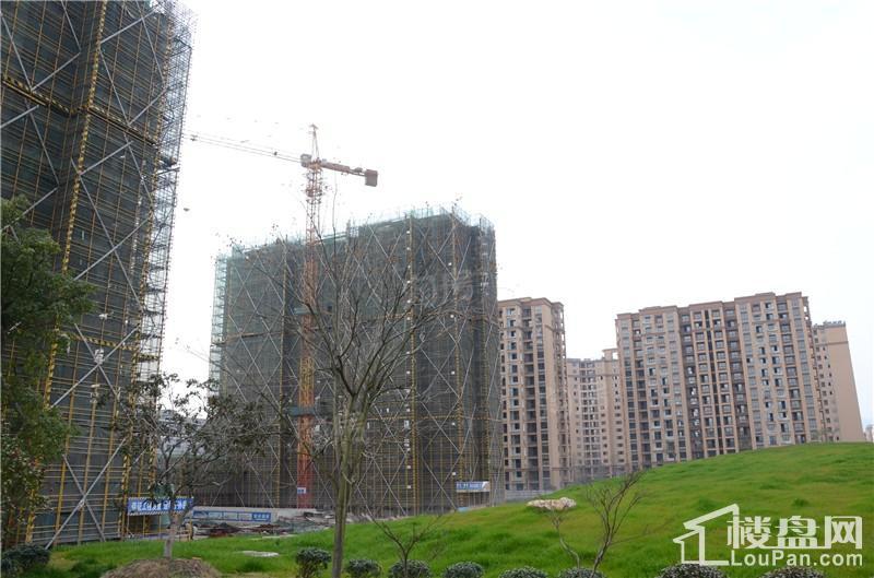 胜城东塘湖畔实景图