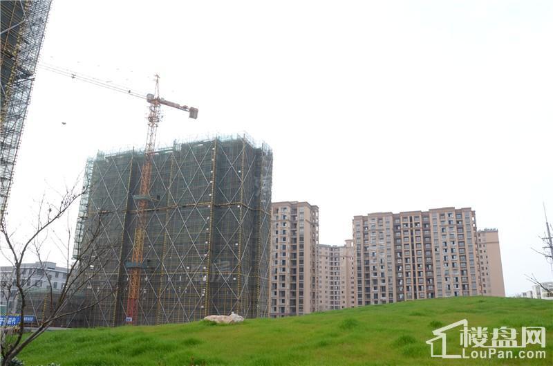 胜城东塘湖畔实景图