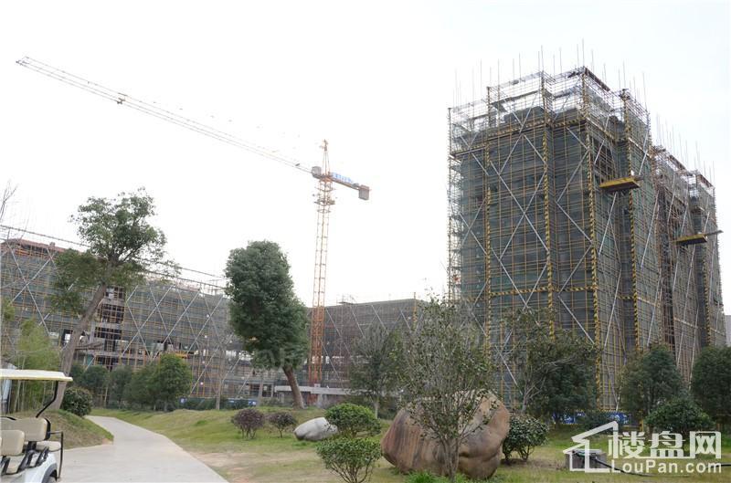 胜城东塘湖畔实景图