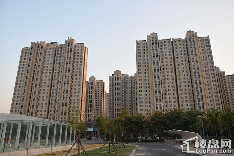 东岳·熙园实景图