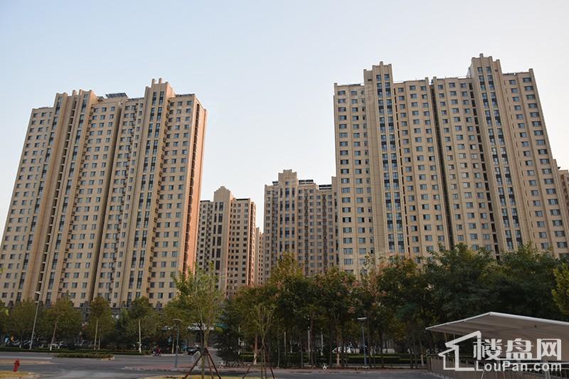 东岳·熙园实景图