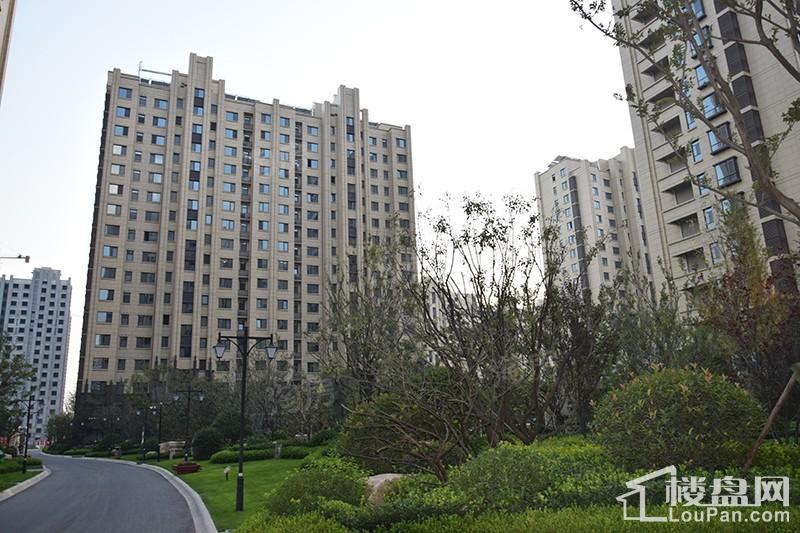 东岳·熙园实景图