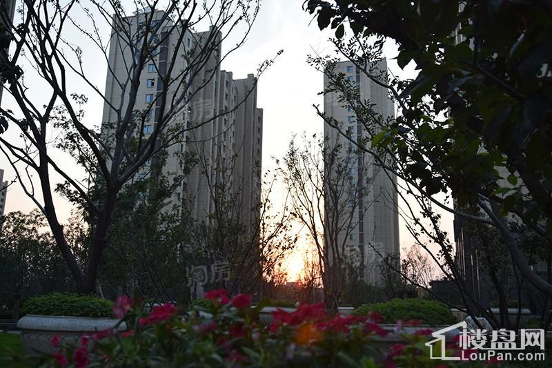 东岳·熙园实景图