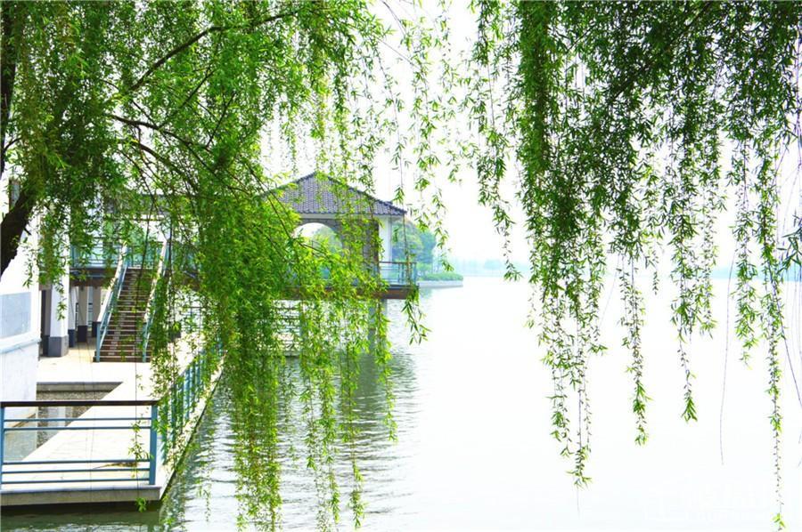 融创石湖桃花源配套图