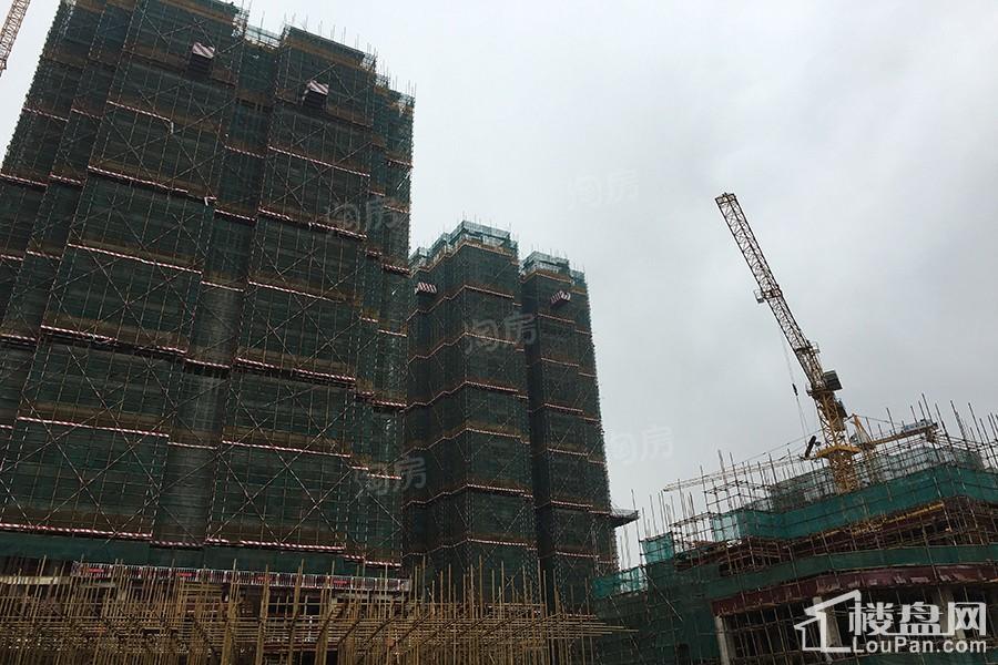 金悦澜湾实景图