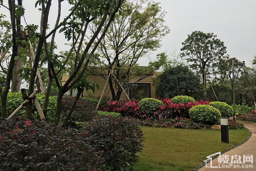 金悦澜湾实景图