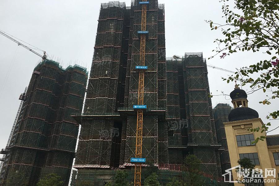 金悦澜湾实景图