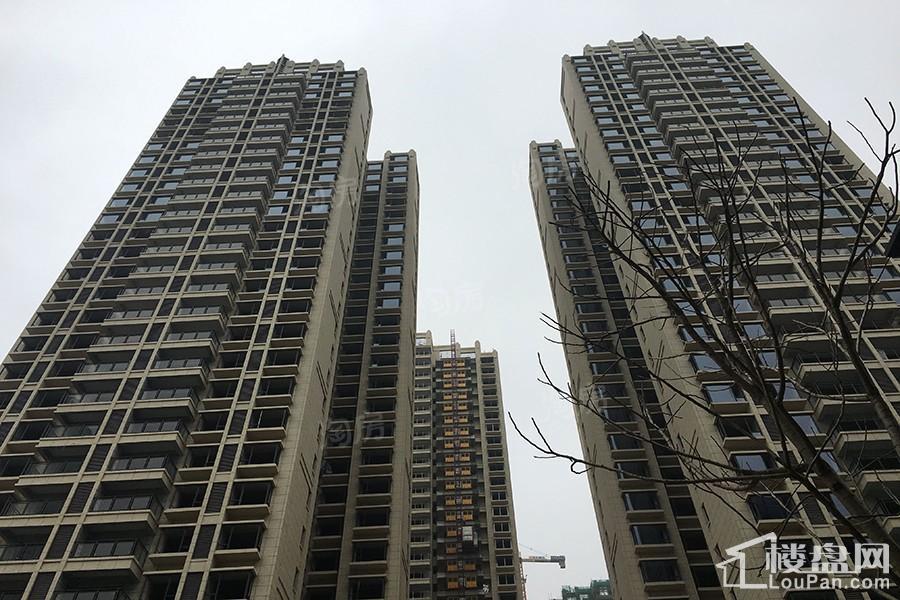 绿地中央广场实景图