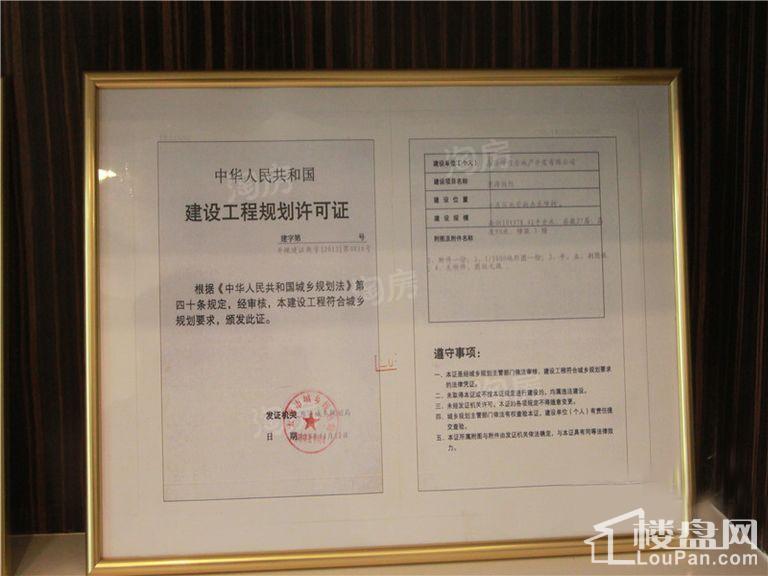 亲海国际实景图