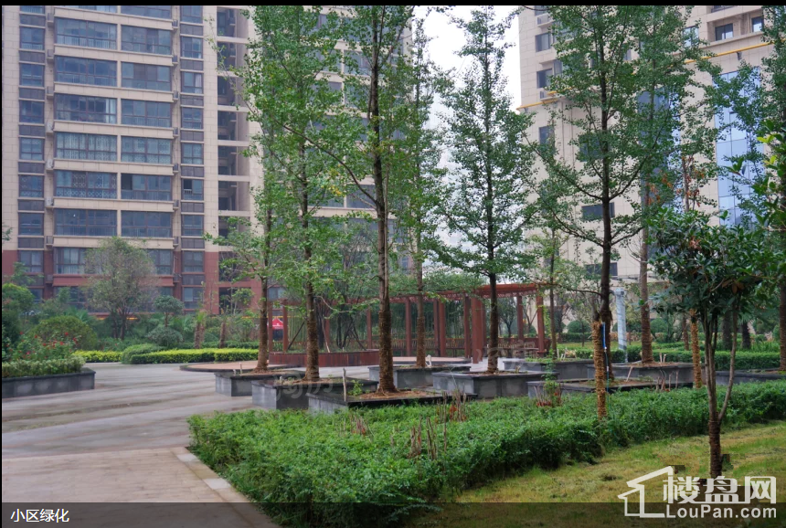 华龙太乙城时光界实景图