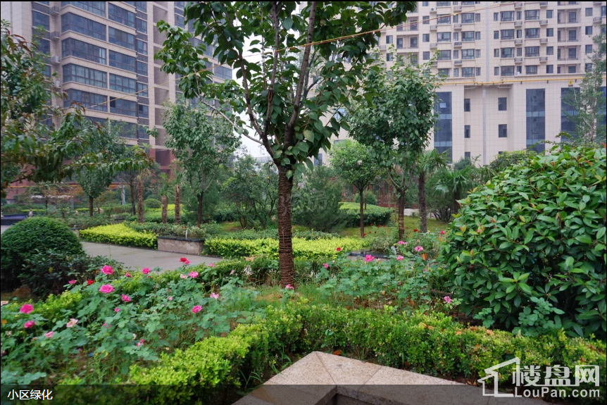 华龙太乙城时光界实景图