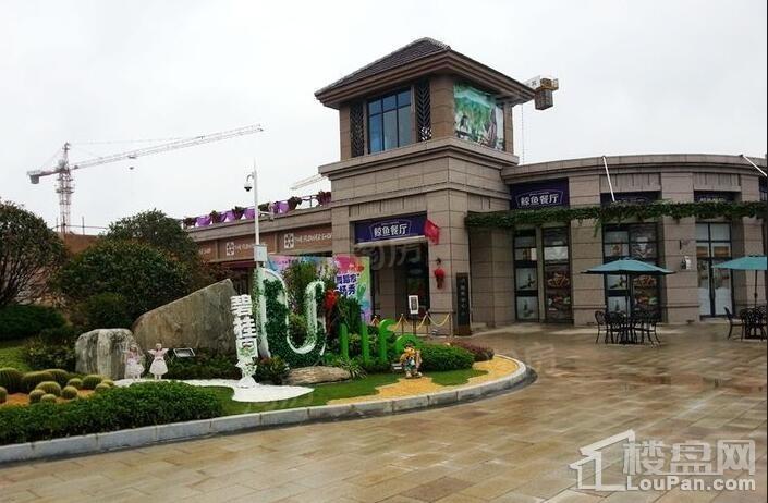仪征碧桂园实景图