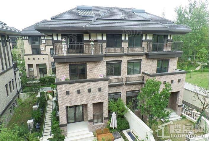 实景图