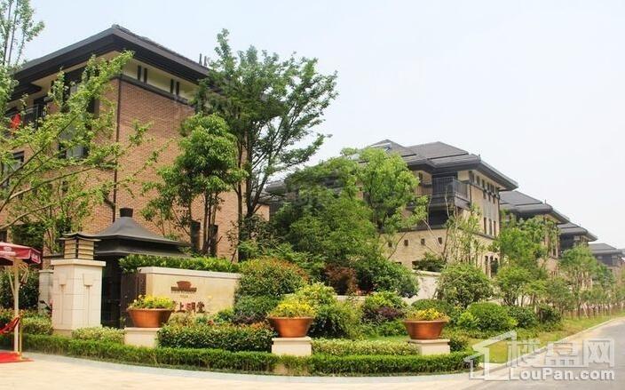 滨城溪上明堂实景图