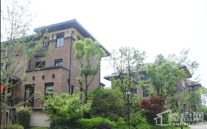 滨城溪上明堂实景图