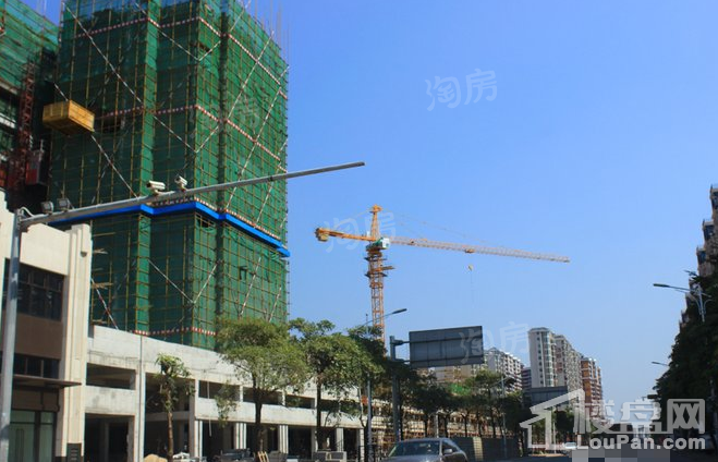 实景图