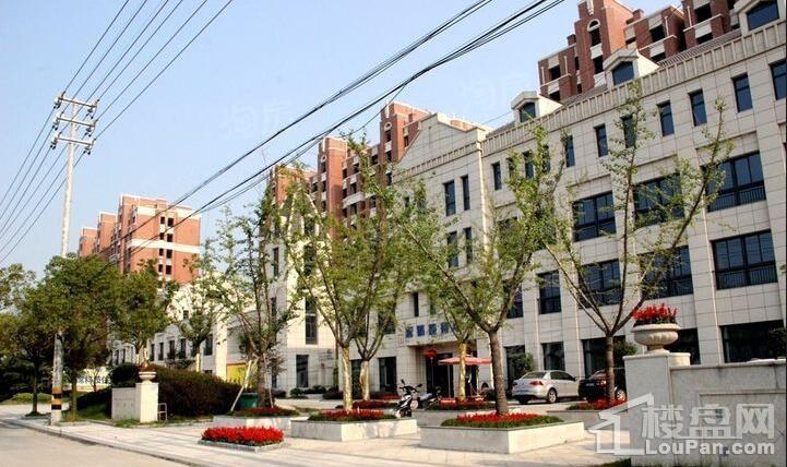 光辉岁月实景图